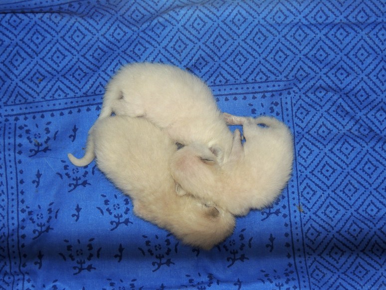 W01_051-Rico,-Niño-en-Mili-2014-04-15_web