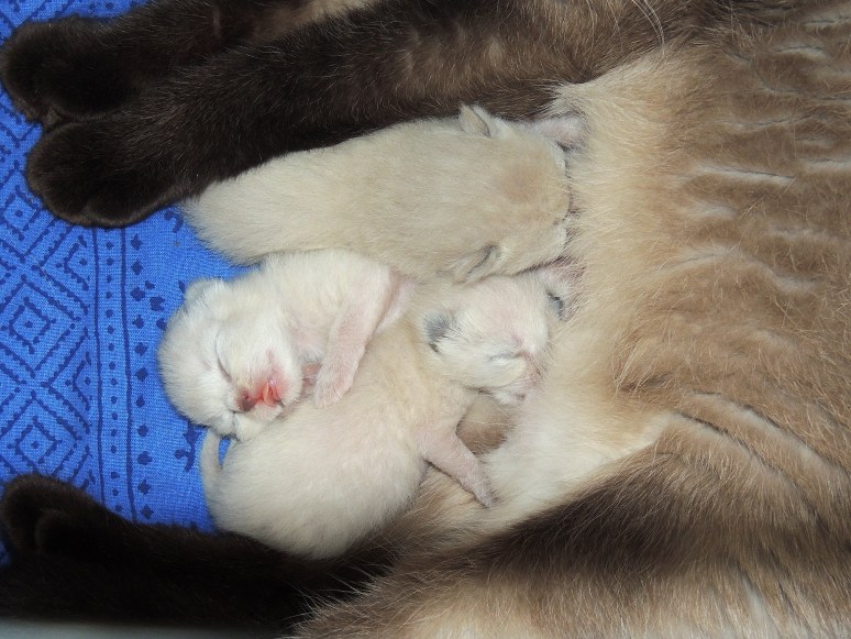 W01_052-Rico,-Niño-en-Mili-2014-04-15_web