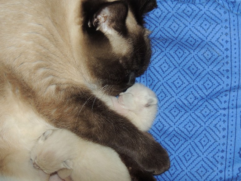 W01_055-Laleh-en-Niño-2014-04-15_web