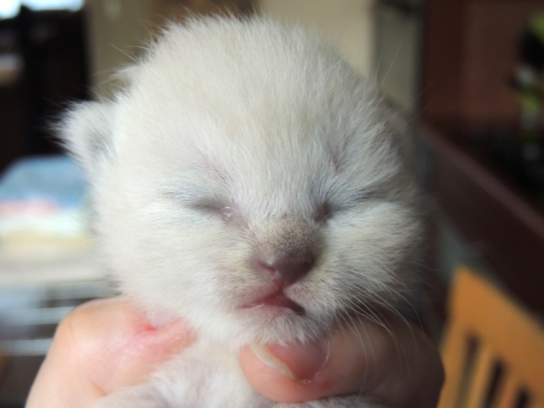 W02_010-Mili-2014-04-19_web