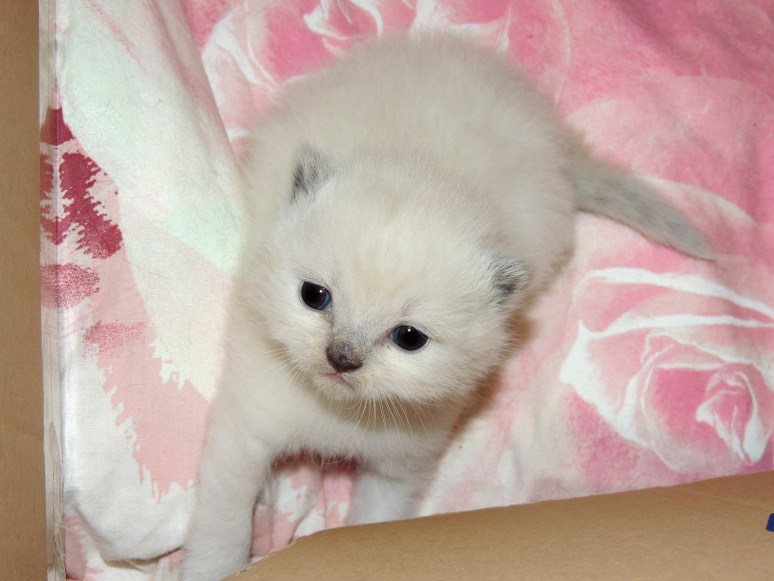 W03_044-Mili-2014-04-28_web