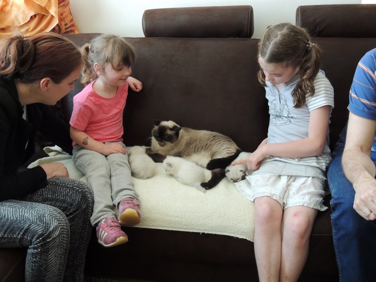 W04_003-Laleh-en-kids,-Ellen,-Jersey-en-Sidney-2014-05-03_web