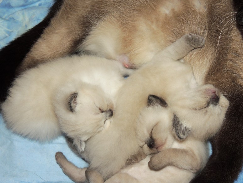 W04_017-Rico,-Niño-en-Mili-2014-05-03_web