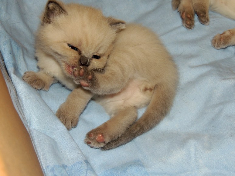 W04_028-Rico-2014-05-04_web