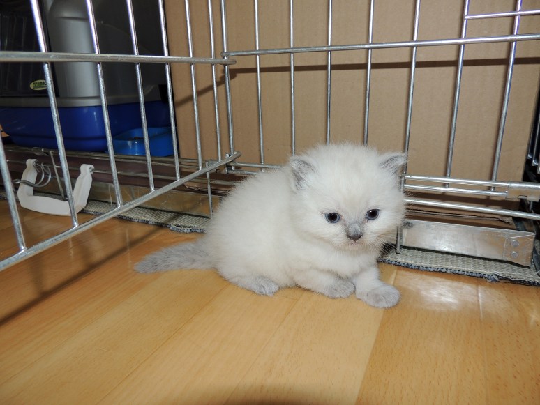 W04_061-Mili-2014-05-06_web