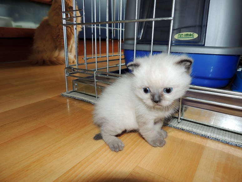 W04_062a-Niño-2014-05-06_web