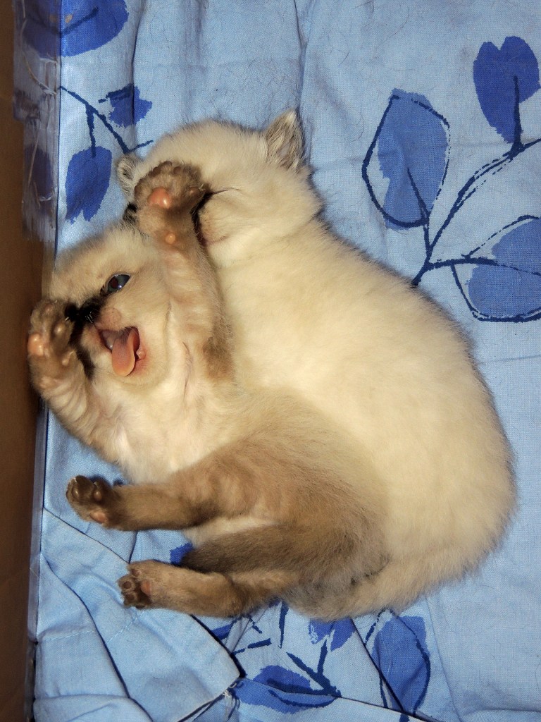 W04_070-Niño-en-Mili-2014-05-07_web