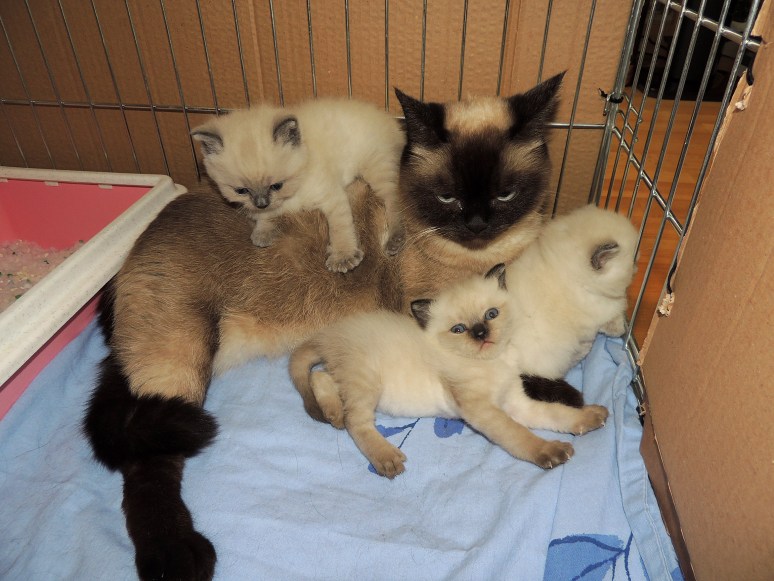 W04_116-Laleh,-Rico,-Niño-en-Mili-2014-05-09_web