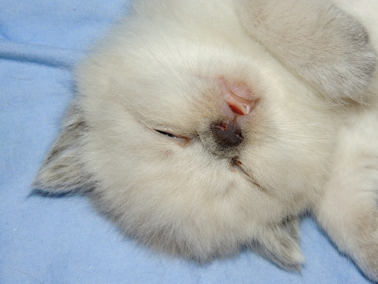 W04_119-Mili-2014-05-09_web