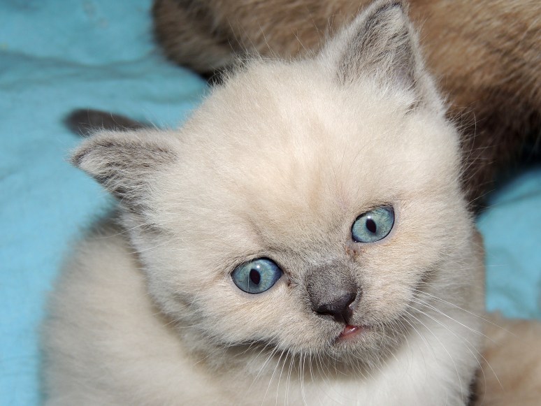 W05_038-Rico-2014-05-11_web