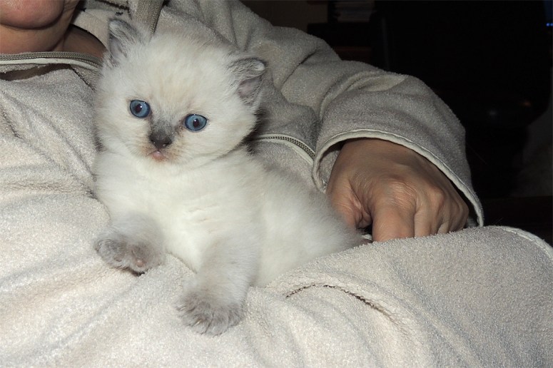 W05_045-Mili-en-Ria-2014-05-11_web