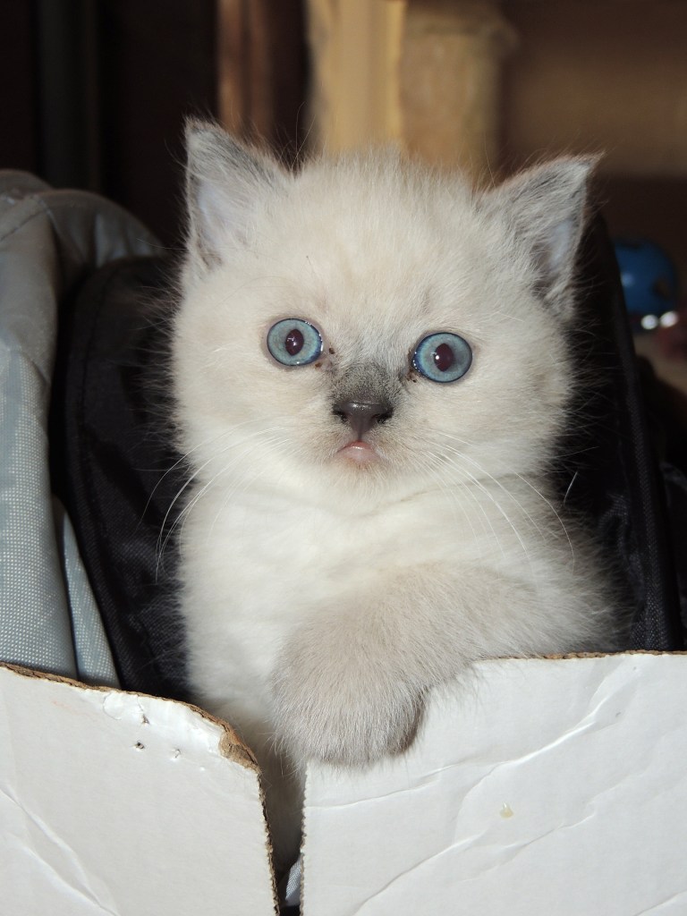 W06_019-Mili-2014-05-20_web