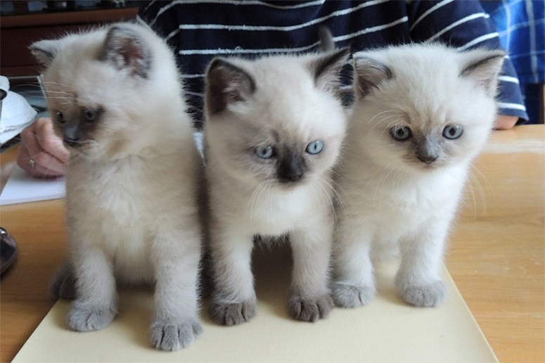 W06_065-Rico,-Niño,-Mili-en-Ria-2014-05-22_web