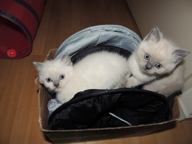 W06_083-Rico-en-Mili-2014-05-22_web