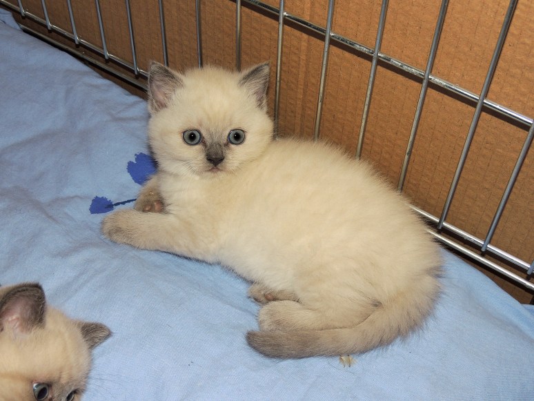 W07_002-Mili-2014-05-24_web