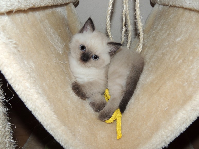 W07_003-Niño-2014-05-24_web