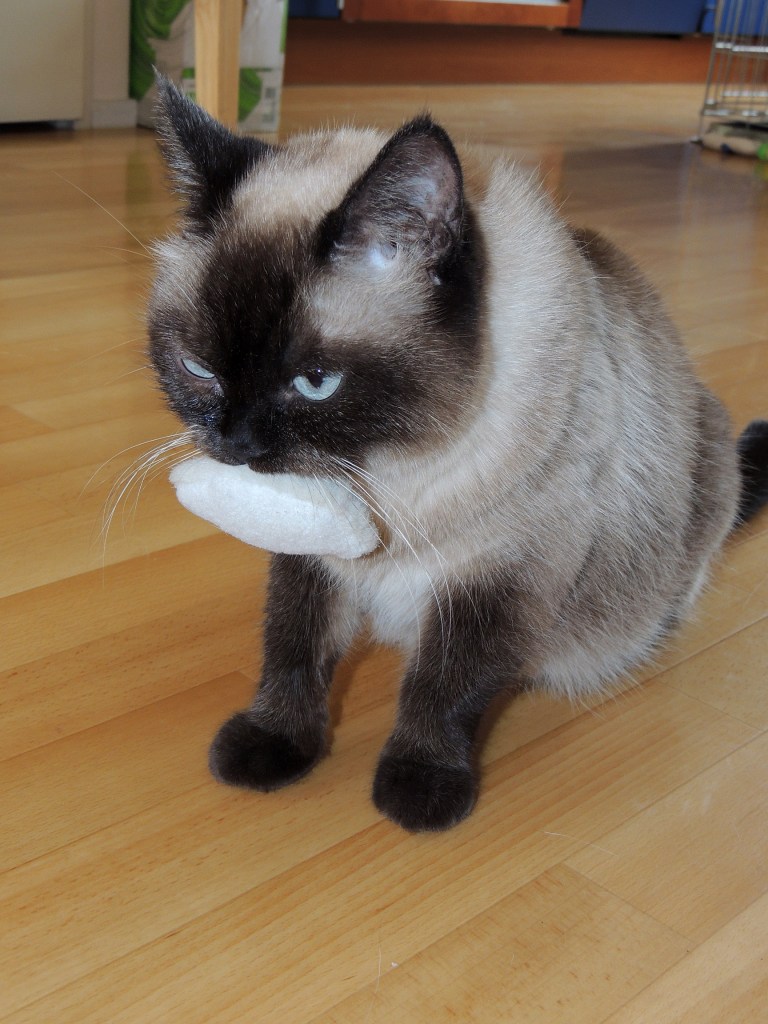 W07_019-Laleh-2014-05-24_web