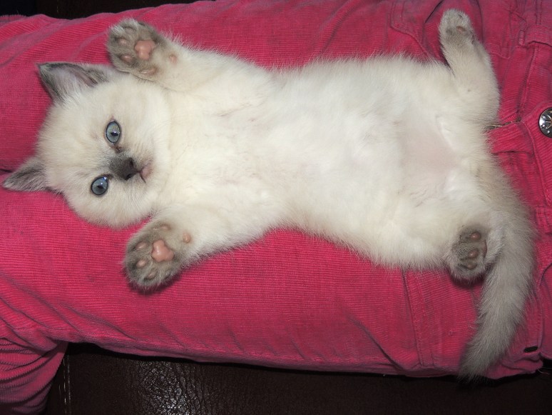 W07_046-Mili-2014-05-24_web