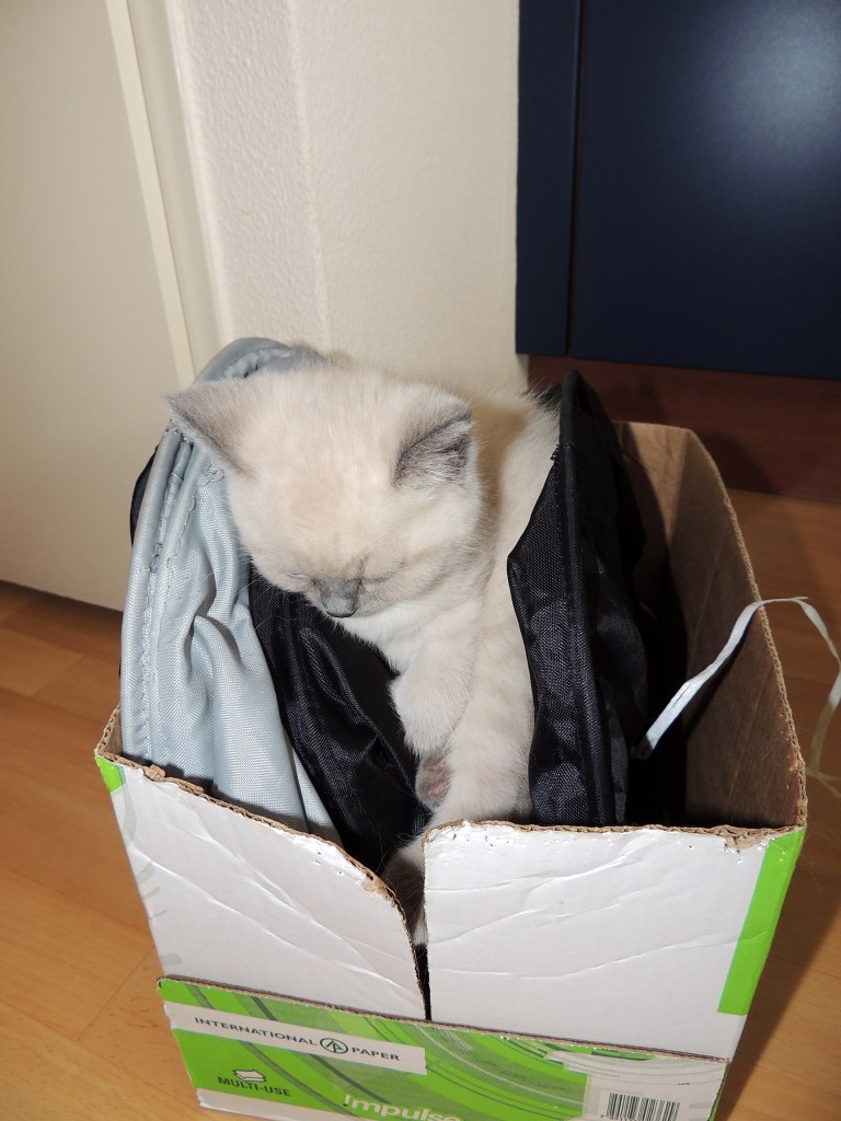 W07_069-Rico-2014-05-25_web