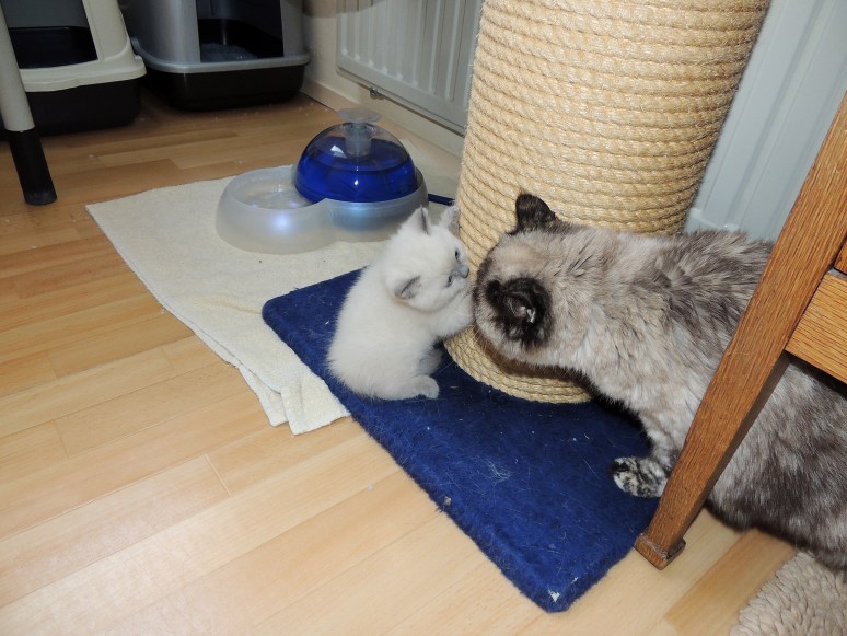 W07_081-Mili-en-Laleh-2014-05-25_web