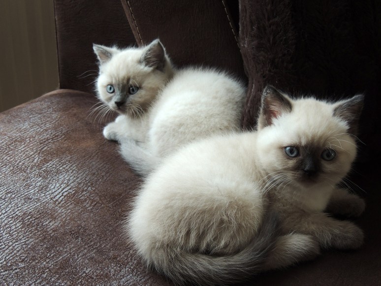 W07_111-Rico-en-Niño-2014-05-26_web