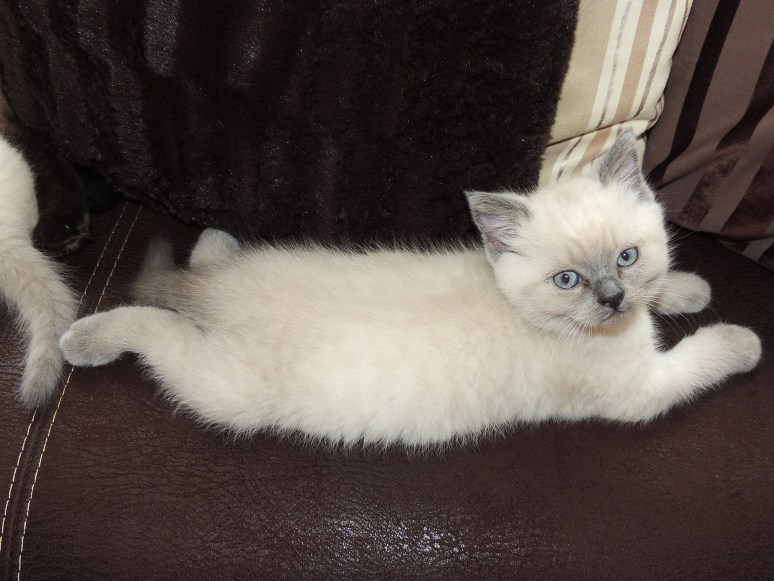 W07_137-Rico-2014-05-26_web