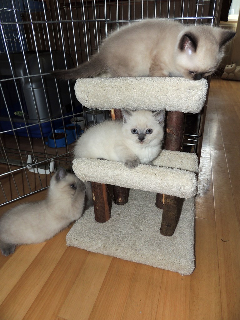 W07_172-Rico,-Niño-en-Mili-2014-05-29_web