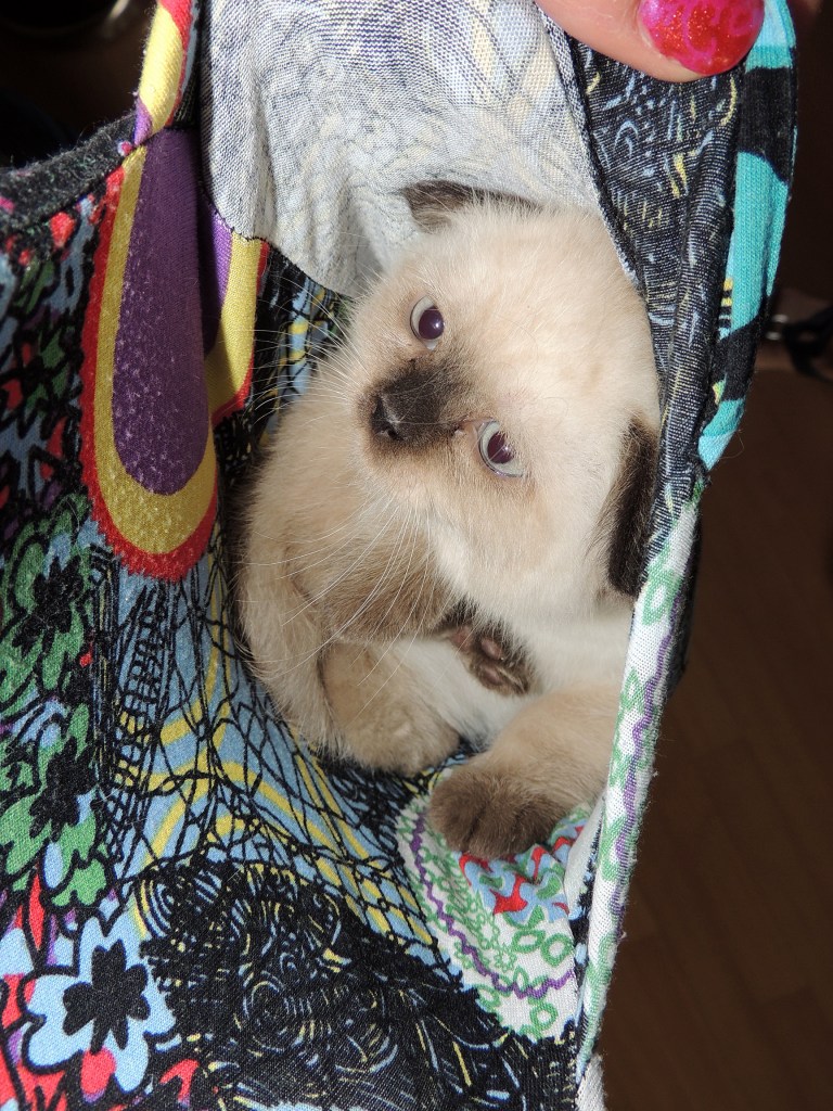 W08_005-Niño-2014-05-31_web