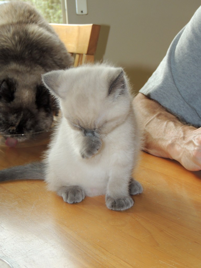 W08_023-Rico-2014-06-01_web