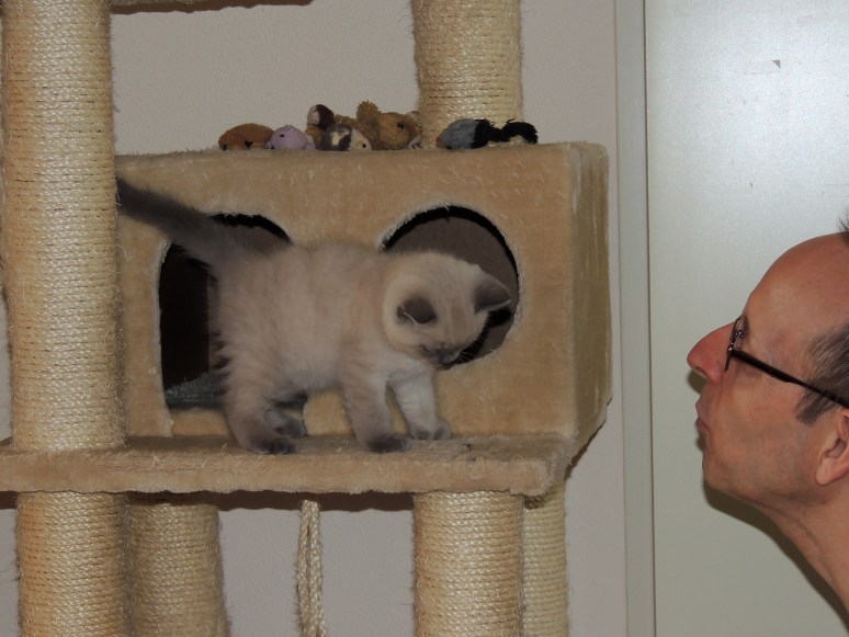 W08_044-Rico-2014-06-02_web