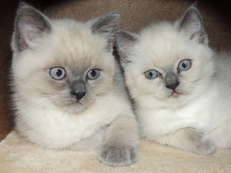 W08_076-Rico-en-Mili-2014-06-04_web