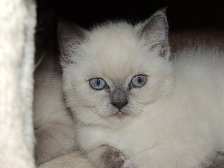 W08_078-Mili-2014-06-04_web