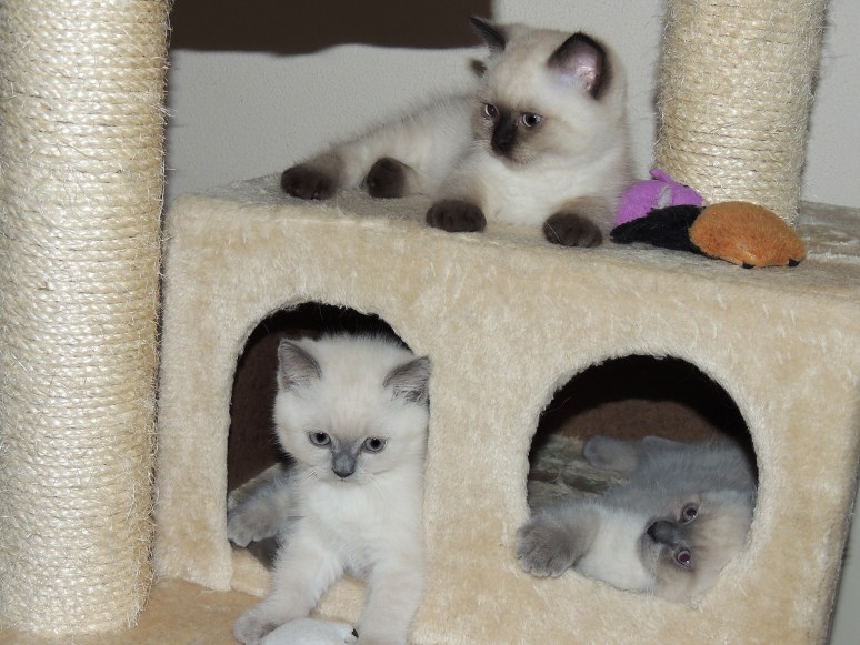 W09_017-Rico,-Niño-en-Mili-2014-06-07_web