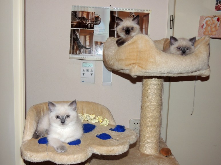 W09_024-Rico,-Niño-en-Mili-2014-06-08_web