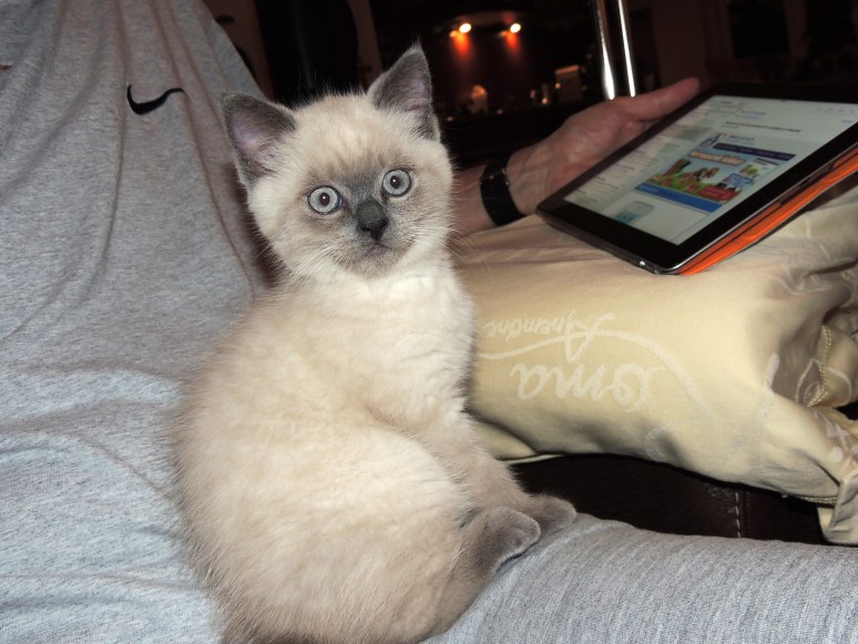 W09_075-Rico-2014-06-12_web