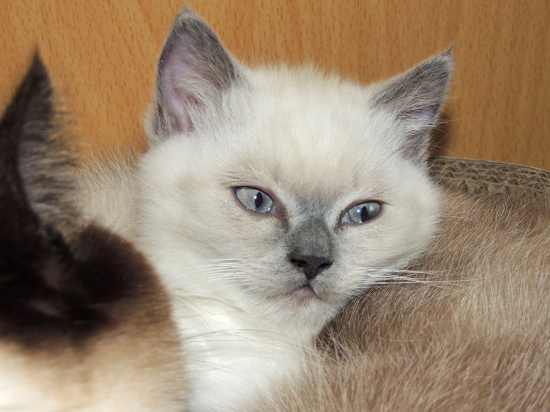 W09_093-Mili-2014-06-13_web