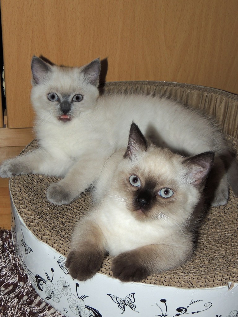 W10_038-Niño-en-Mili-2014-06-17_web