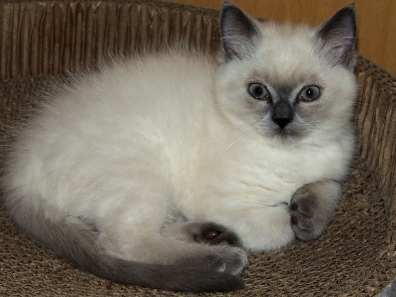 W10_056-Mili-2014-06-19_web