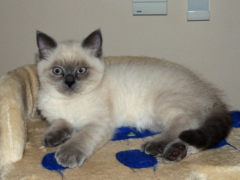 W10_058-Rico-2014-06-19_web