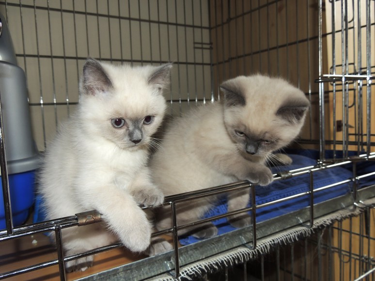 W10_066-Rico-en-Mili-2014-06-20_web