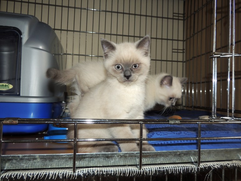 W10_072-Rico-2014-06-20_web