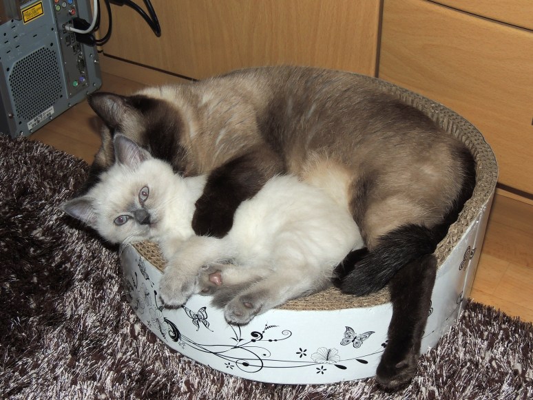 W11_009-Laleh-en-Mili-2014-06-21web