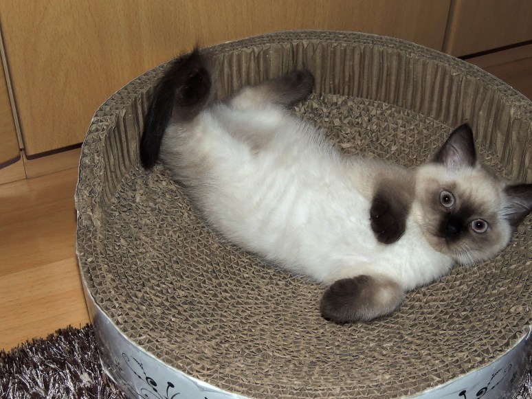 W11_016-Niño-2014-06-21_web