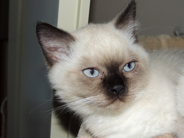 W11_042-Niño-2014-06-23_web