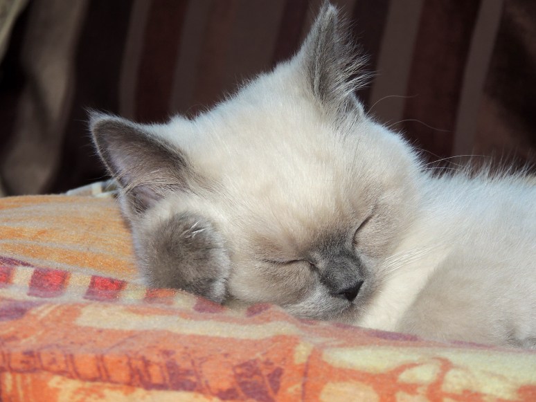 W12_023-Mili-2014-06-28_web