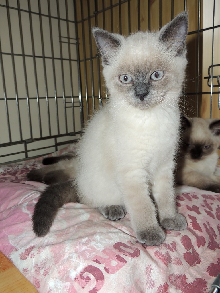 W12_037-Rico-en-Niño-2014-06-30_web