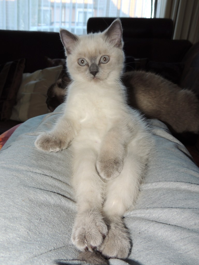 W12_049-Mili-2014-06-30_web