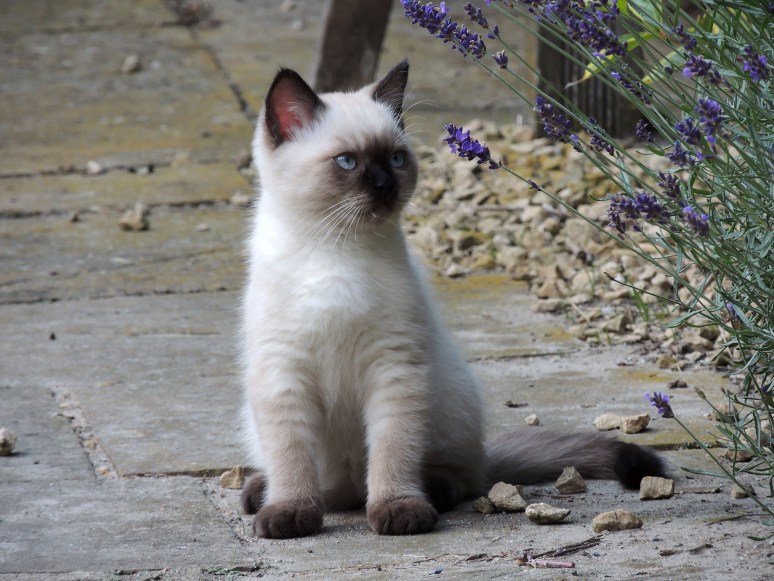 W12_061-Niño-2014-07-02_web