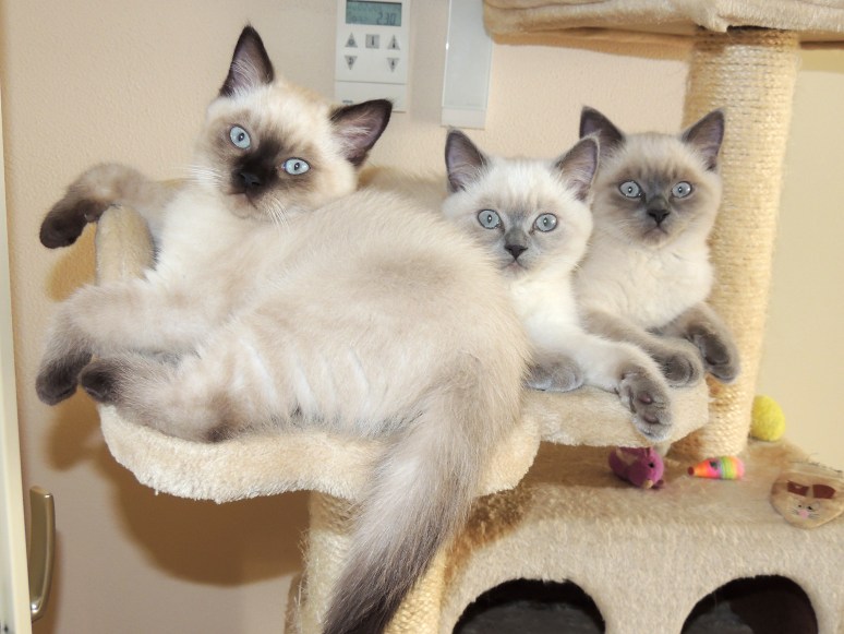 W12_063-Rico,-Niño-en-Mili-2014-07-02_web