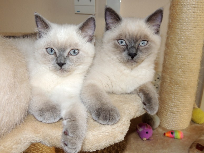 W12_065-Rico-en-Mili-2014-07-02_web